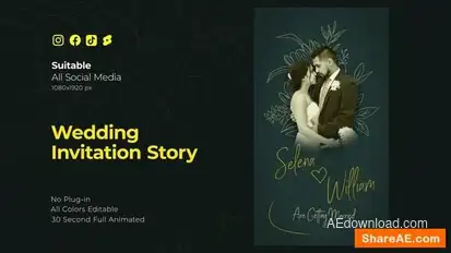 Wedding Invitation Instagram Reel Openers template preview