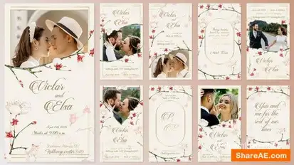 Wedding Invitation Instagram Stories Openers template preview