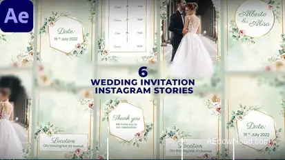 Wedding Invitation Instagram Stories Product Promo template preview