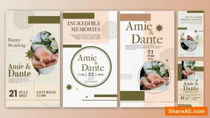 Wedding Invitation Instagram Stories Template | AE Openers template preview