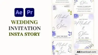 Videohive Wedding Invitation Instagram Story 58050078 Elements template preview