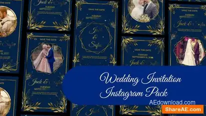 Videohive Wedding Invitation Instagram Story and Reel II Openers template preview