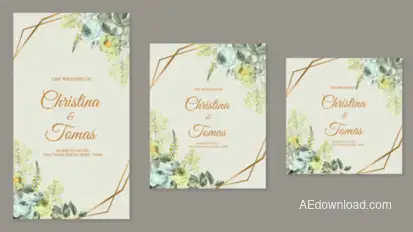 Wedding Invitation Intro 3 Video Displays template preview