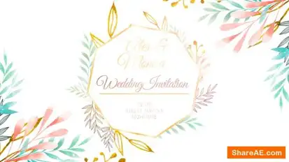 Wedding Invitation Intro Openers template preview