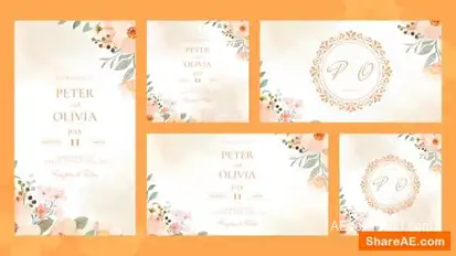 Wedding Invitation Intro Openers template preview