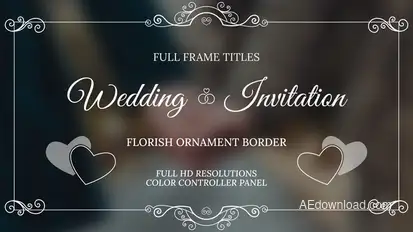 Wedding Invitation Overlays Elements template preview