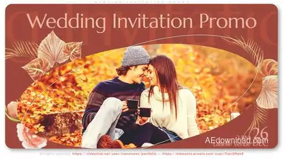 Wedding Invitation Promo Video Displays template preview