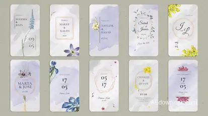 Wedding Invitation Tik Tok | Stories Elements template preview