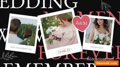 Wedding Invitation Video Display After Effect Template Openers template preview