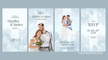 Wedding Invitation Video Template Video Displays template preview
