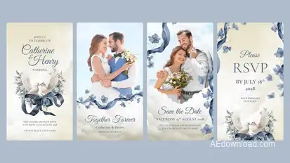 Wedding Invitation Video Template Video Displays template preview