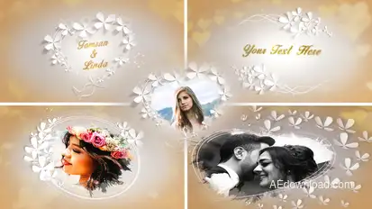Wedding Memories Video Displays template preview