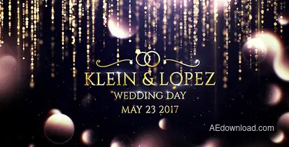 Wedding Opener Openers template preview