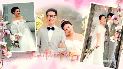 Wedding Photo Slideshow Elements template preview