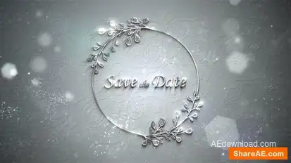 Wedding Silver Titles Logo Stings template preview