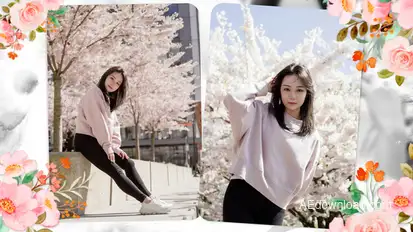 Wedding - Wedding Slideshow Elements template preview