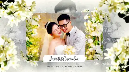Wedding Slideshow | Floral Wedding Photos Video Displays template preview