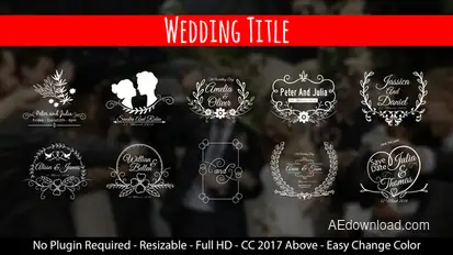 Wedding Titles Titles template preview