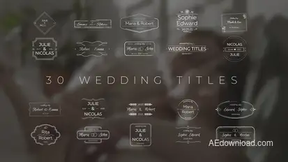 Wedding Titles Titles template preview