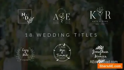 Wedding Titles Openers template preview