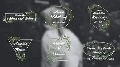 Wedding Titles 4K Titles template preview