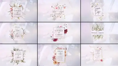 Wedding titles Video Displays template preview