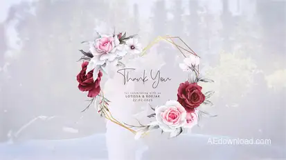 Wedding titles Openers template preview