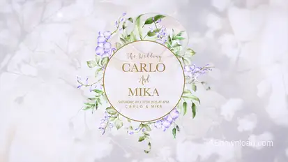 Wedding titles Openers template preview