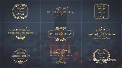 Wedding Titles Titles template preview