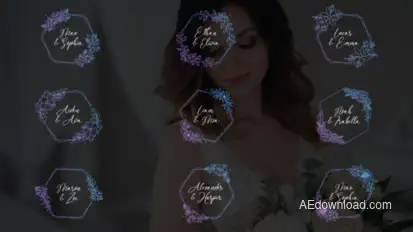 Wedding Titles - Hexagon Frames Titles template preview