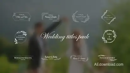Wedding Titles  AE Titles template preview