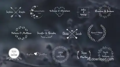 Wedding Titles Pack Titles template preview