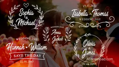 Wedding Titles Pack Titles template preview
