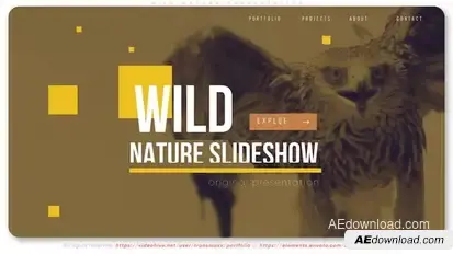 Wild Nature Presentation Openers template preview