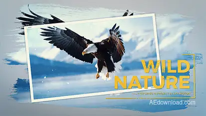 Wild Nature Slideshow Video Displays template preview