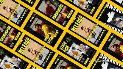 Wildwood Fashion Instagram Stories Product Promo template preview