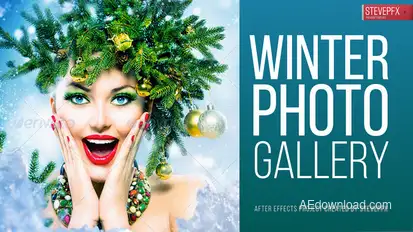 Winter Photo Gallery Video Displays template preview