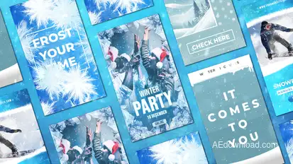 Winter Frost Instagram Christmas Stories Post 2 Product Promo template preview