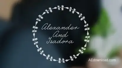Wedding Animated Typeface Video Displays template preview