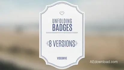 Wedding Badges Video Displays template preview