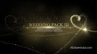 Wedding Video Displays template preview
