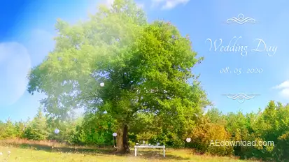 Wedding Gallery Video Displays template preview