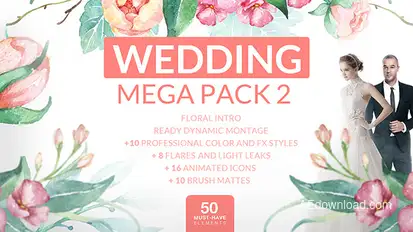 Wedding Mega Pack 2 Video Displays template preview