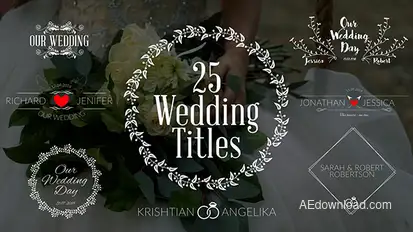Wedding Titles Video Displays template preview