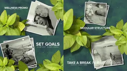 Wellness & Health Promo Video Displays template preview