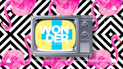 Wonder Television Video Displays template preview