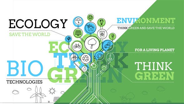 Ecology Infographics