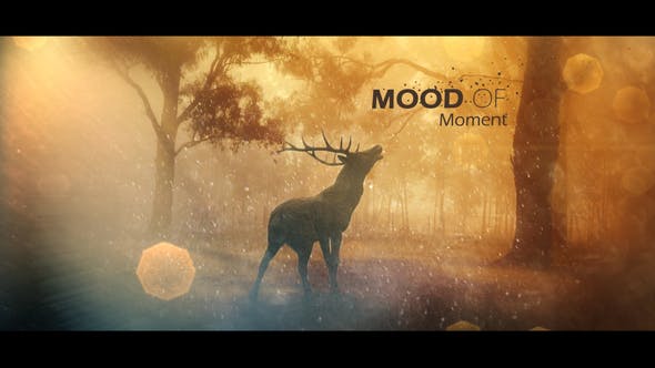 Mood Of Moments Parallax Opener