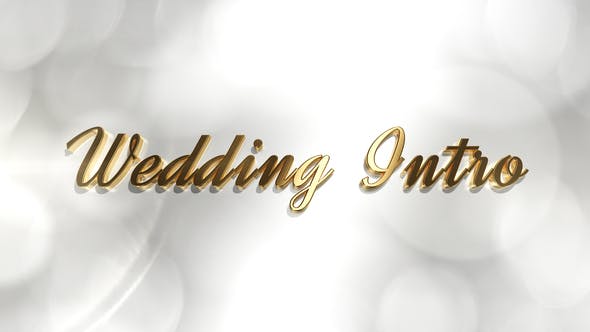 Wedding Intro