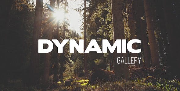 Dynamic Gallery